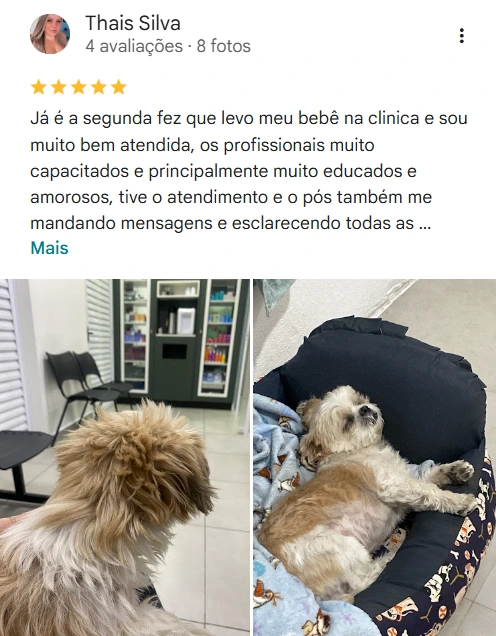 Avaliação real de tutor no Google