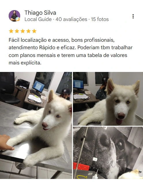 Avaliação real de tutor no Google