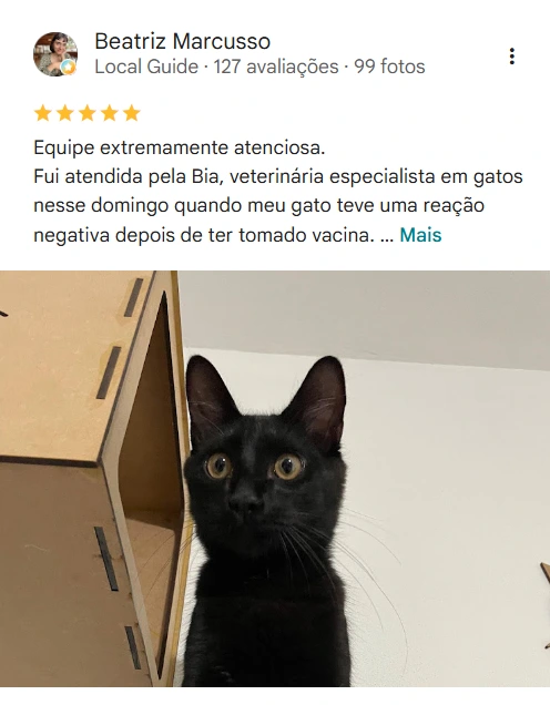 Avaliação real de tutor no Google