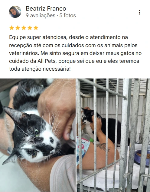 Avaliação real de tutor no Google
