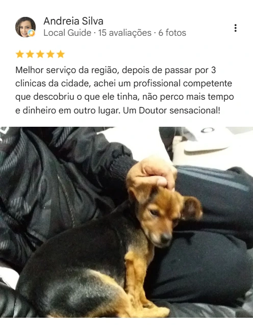 Avaliação real de tutor no Google